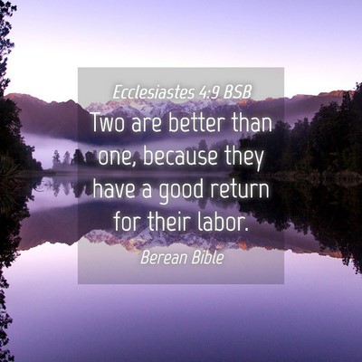 Picture 04 - Ecclesiastes 4:9 BSB - Two are better than one, because they have a good - Bible Verse Picture