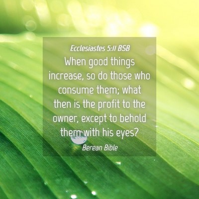 Picture 04 - Ecclesiastes 5:11 BSB - When good things increase, so do those who - Bible Verse Picture