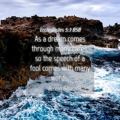 Picture 04 - Ecclesiastes 5:3 BSB - As a dream comes through many cares, so the - Bible Verse Picture