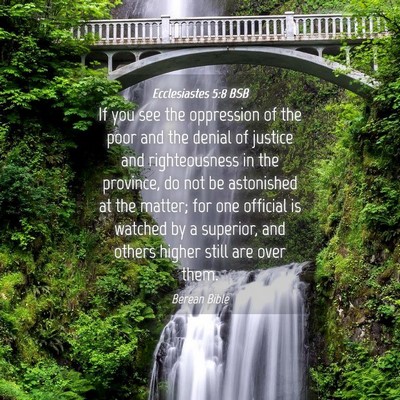 Picture 04 - Ecclesiastes 5:8 BSB - If you see the oppression of the poor and the - Bible Verse Picture