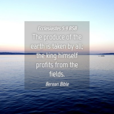 Picture 04 - Ecclesiastes 5:9 BSB - The produce of the earth is taken by all; the - Bible Verse Picture