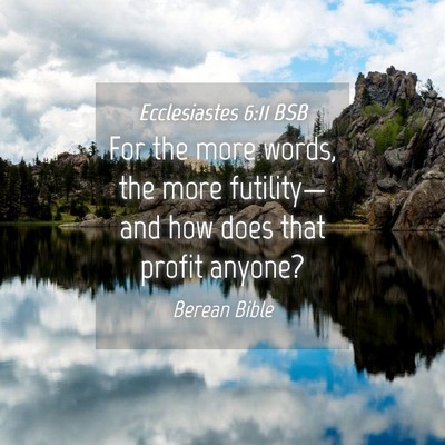 Picture 04 - Ecclesiastes 6:11 BSB - For the more words, the more futility—and how - Bible Verse Picture
