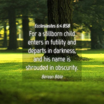Picture 04 - Ecclesiastes 6:4 BSB - For a stillborn child enters in futility and - Bible Verse Picture