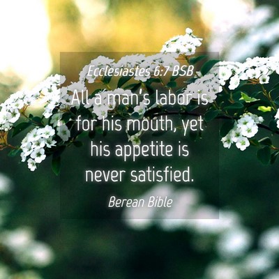 Picture 04 - Ecclesiastes 6:7 BSB - All a man’s labor is for his mouth, yet his - Bible Verse Picture