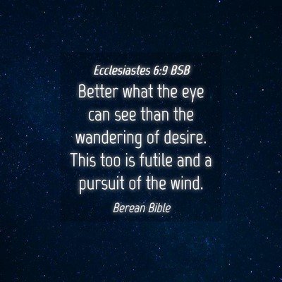 Picture 04 - Ecclesiastes 6:9 BSB - Better what the eye can see than the wandering of - Bible Verse Picture