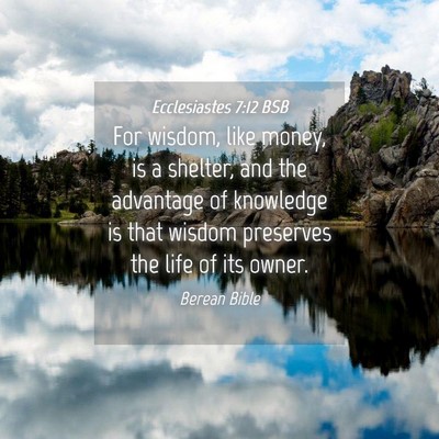 Picture 04 - Ecclesiastes 7:12 BSB - For wisdom, like money, is a shelter, and the - Bible Verse Picture
