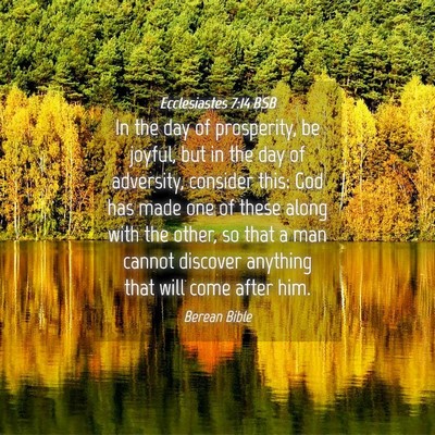 Picture 04 - Ecclesiastes 7:14 BSB - In the day of prosperity, be joyful, but in the - Bible Verse Picture