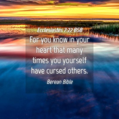 Picture 04 - Ecclesiastes 7:22 BSB - For you know in your heart that many times you - Bible Verse Picture