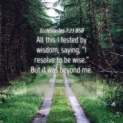 Picture 04 - Ecclesiastes 7:23 BSB - All this I tested by wisdom, saying, “I resolve - Bible Verse Picture