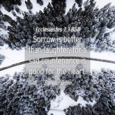 Picture 04 - Ecclesiastes 7:3 BSB - Sorrow is better than laughter, for a sad - Bible Verse Picture