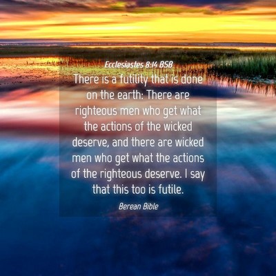 Picture 04 - Ecclesiastes 8:14 BSB - There is a futility that is done on the earth: - Bible Verse Picture