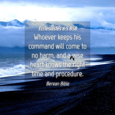 Picture 04 - Ecclesiastes 8:5 BSB - Whoever keeps his command will come to no harm, - Bible Verse Picture