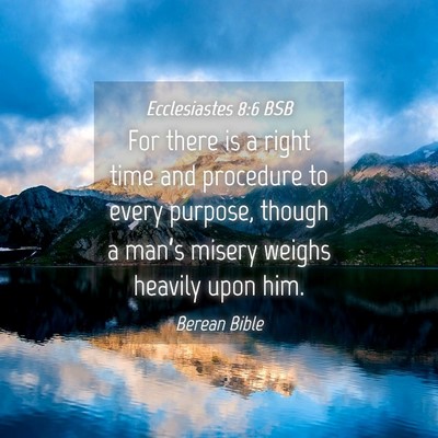 Picture 04 - Ecclesiastes 8:6 BSB - For there is a right time and procedure to every - Bible Verse Picture