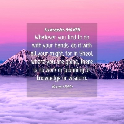 Picture 04 - Ecclesiastes 9:10 BSB - Whatever you find to do with your hands, do it - Bible Verse Picture