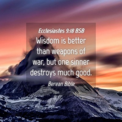 Picture 04 - Ecclesiastes 9:18 BSB - Wisdom is better than weapons of war, but one - Bible Verse Picture
