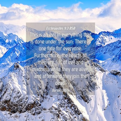 Picture 04 - Ecclesiastes 9:3 BSB - This is an evil in everything that is done under - Bible Verse Picture