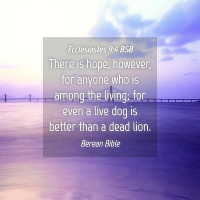 Picture 04 - Ecclesiastes 9:4 BSB - There is hope, however, for anyone who is among - Bible Verse Picture