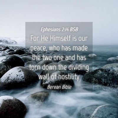 Picture 04 - Ephesians 2:14 BSB - For He Himself is our peace, who has made the two - Bible Verse Picture