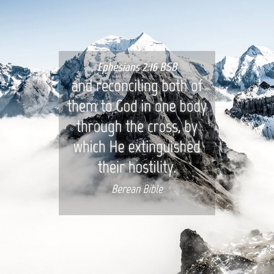Picture 04 - Ephesians 2:16 BSB - and reconciling both of them to God in one body - Bible Verse Picture