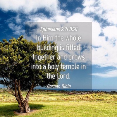 Picture 04 - Ephesians 2:21 BSB - In Him the whole building is fitted together and - Bible Verse Picture