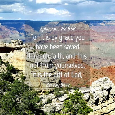Picture 04 - Ephesians 2:8 BSB - For it is by grace you have been saved through - Bible Verse Picture