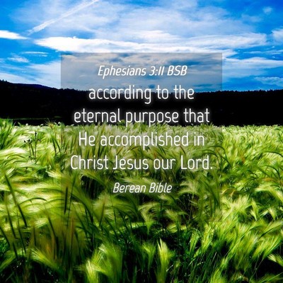 Picture 04 - Ephesians 3:11 BSB - according to the eternal purpose that He - Bible Verse Picture
