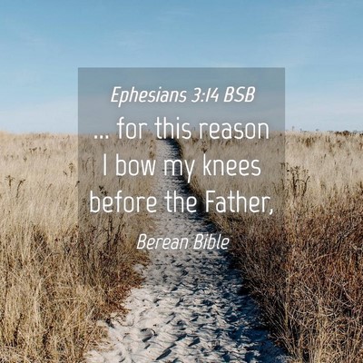 Picture 04 - Ephesians 3:14 BSB - ... for this reason I bow my knees before the - Bible Verse Picture