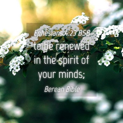 Picture 04 - Ephesians 4:23 BSB - to be renewed in the spirit of your - Bible Verse Picture