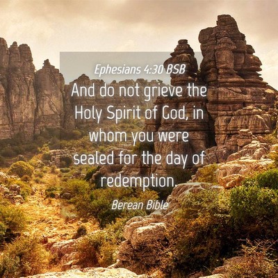 Picture 04 - Ephesians 4:30 BSB - And do not grieve the Holy Spirit of God, in whom - Bible Verse Picture
