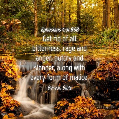 Picture 04 - Ephesians 4:31 BSB - Get rid of all bitterness, rage and anger, outcry - Bible Verse Picture