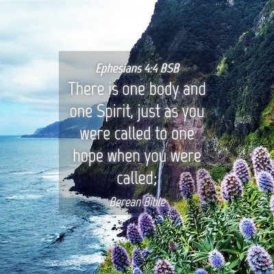 Picture 04 - Ephesians 4:4 BSB - There is one body and one Spirit, just as you - Bible Verse Picture