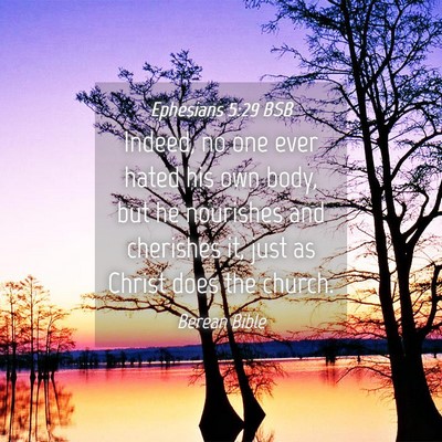 Picture 04 - Ephesians 5:29 BSB - Indeed, no one ever hated his own body, but he - Bible Verse Picture