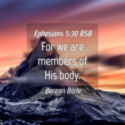 Picture 04 - Ephesians 5:30 BSB - For we are members of His - Bible Verse Picture