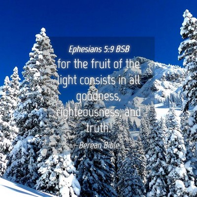 Picture 04 - Ephesians 5:9 BSB - for the fruit of the light consists in all - Bible Verse Picture