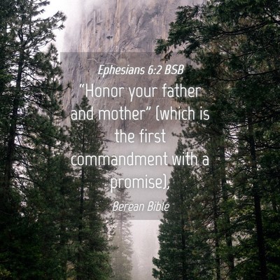Picture 04 - Ephesians 6:2 BSB - “Honor your father and mother” (which is the - Bible Verse Picture
