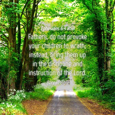Picture 04 - Ephesians 6:4 BSB - Fathers, do not provoke your children to wrath; - Bible Verse Picture