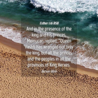Picture 04 - Esther 1:16 BSB - And in the presence of the king and his princes, - Bible Verse Picture