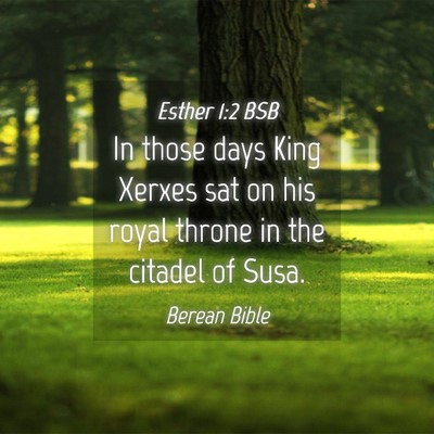 Picture 04 - Esther 1:2 BSB - In those days King Xerxes sat on his royal throne - Bible Verse Picture