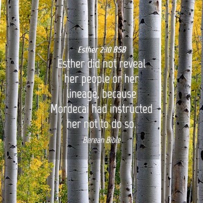 Picture 04 - Esther 2:10 BSB - Esther did not reveal her people or her lineage, - Bible Verse Picture
