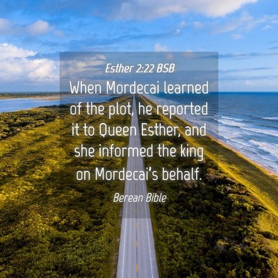Picture 04 - Esther 2:22 BSB - When Mordecai learned of the plot, he reported it - Bible Verse Picture
