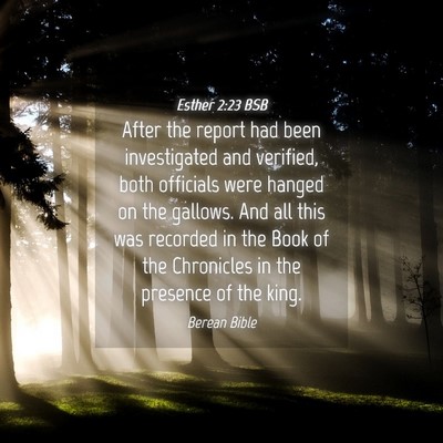 Picture 04 - Esther 2:23 BSB - After the report had been investigated and - Bible Verse Picture