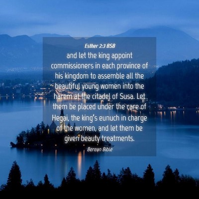 Picture 04 - Esther 2:3 BSB - and let the king appoint commissioners in each - Bible Verse Picture