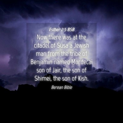 Picture 04 - Esther 2:5 BSB - Now there was at the citadel of Susa a Jewish man - Bible Verse Picture