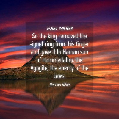 Picture 04 - Esther 3:10 BSB - So the king removed the signet ring from his - Bible Verse Picture