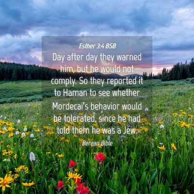 Picture 04 - Esther 3:4 BSB - Day after day they warned him, but he would not - Bible Verse Picture