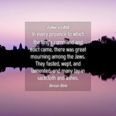 Picture 04 - Esther 4:3 BSB - In every province to which the king’s command - Bible Verse Picture