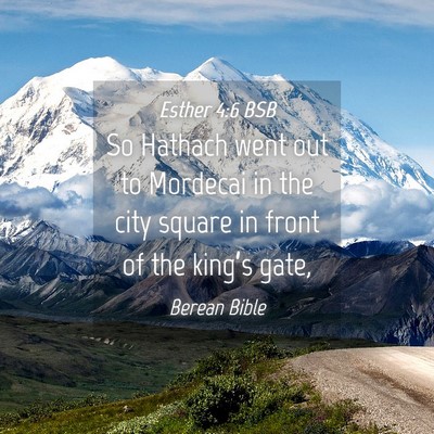 Picture 04 - Esther 4:6 BSB - So Hathach went out to Mordecai in the city - Bible Verse Picture