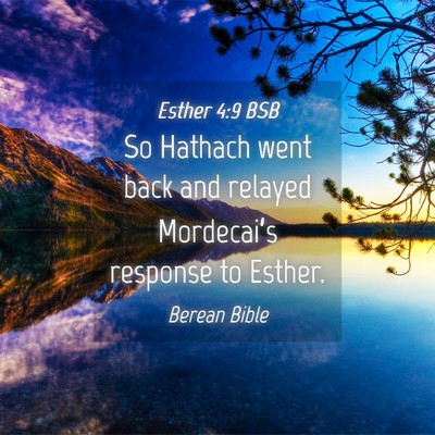 Picture 04 - Esther 4:9 BSB - So Hathach went back and relayed Mordecai’s - Bible Verse Picture