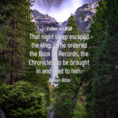 Picture 04 - Esther 6:1 BSB - That night sleep escaped the king; so he ordered - Bible Verse Picture