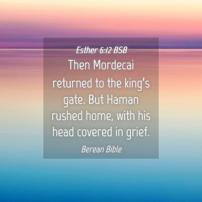 Picture 04 - Esther 6:12 BSB - Then Mordecai returned to the king’s gate. But - Bible Verse Picture